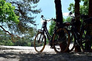 Гостиница DoubleTree by Hilton Royal Parc Soestduinen