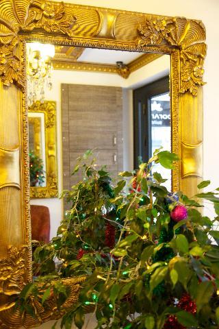Hotel Borancik Suites
