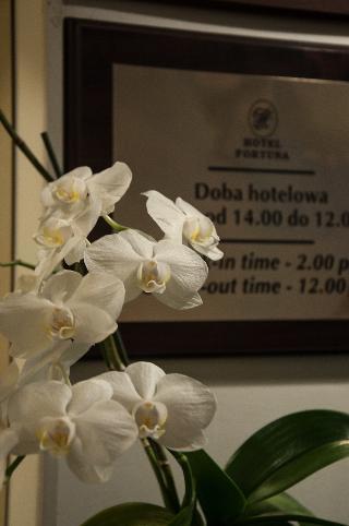 Гостиница Fortuna Hotel