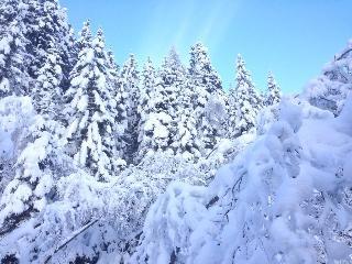 Гостиница Impuls Tirol