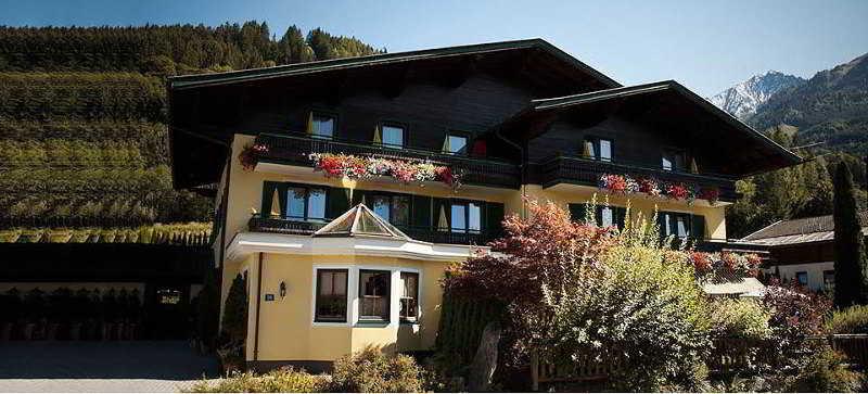 Гостиница Ihre Pension Trauner