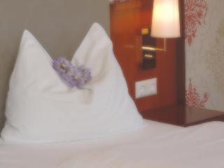 Hotel Kaiser Franz Josef