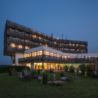 Hotel Falkensteiner Htl & Spa Bad Leonfelden-Adults
