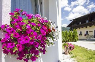 Hotel Adler Resort