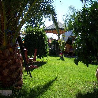 Гостиница Papirus Hotel