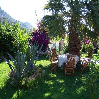 Гостиница Papirus Hotel