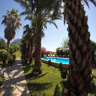 Гостиница Papirus Hotel
