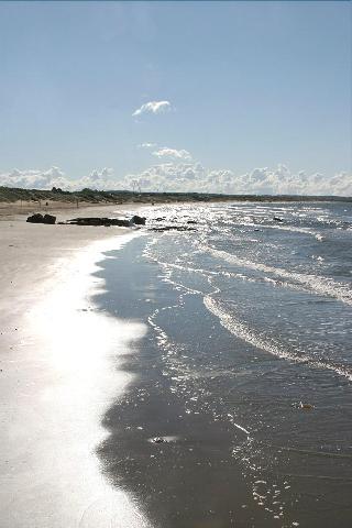 Гостиница Falkenberg Strand