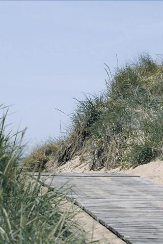 Гостиница Falkenberg Strand