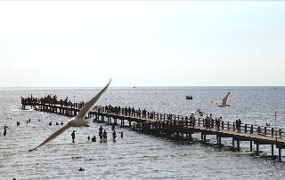 Гостиница Falkenberg Strand