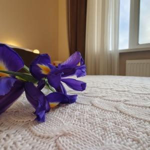 Гостиница Центральная