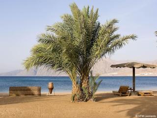 Hotel Tirana Dahab Resort