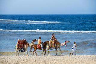 Гостиница Concorde Moreen Beach Resort & Spa