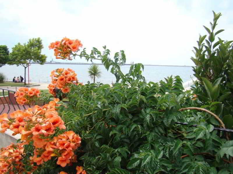 Hotel Elif Otel