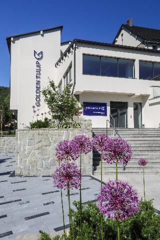 Гостиница Magnus Resort