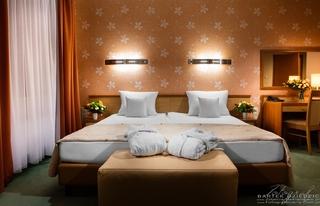 Гостиница Hotel Victor Pruszkow DeSilva