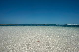 Гостиница Bella Isla Resort