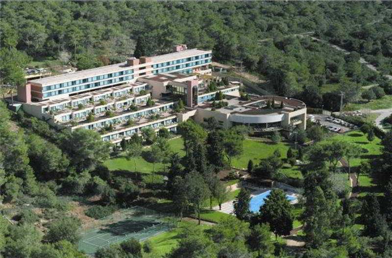 Гостиница Carmel Forest SPA Resort