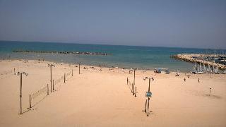 Гостиница Crowne Plaza Tel Aviv Beach