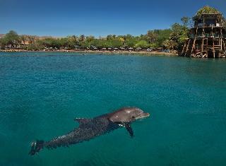 Гостиница Dan Panorama Eilat