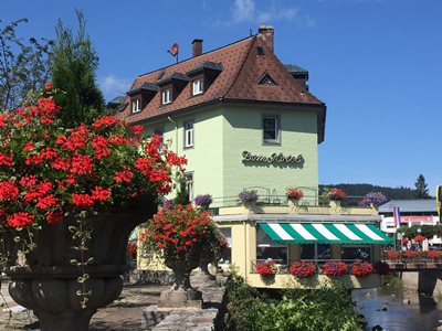 Гостиница Dom-Hotel St. Blasien