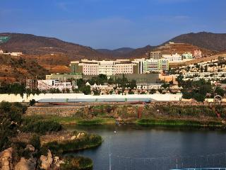 Hotel Abha Palace