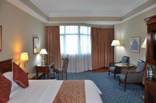 Hotel Abha Palace