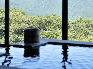 Hotel Gora Hanaogi