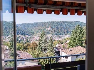Гостиница Hochwald
