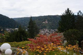 Гостиница Hochwald