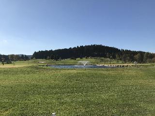Гостиница Zartenbach
