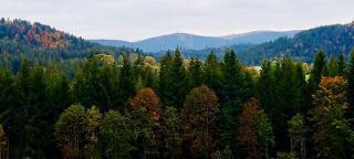Гостиница Zartenbach