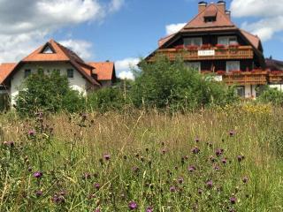 Гостиница Zartenbach