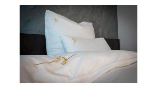 Гостиница B&B Sasput