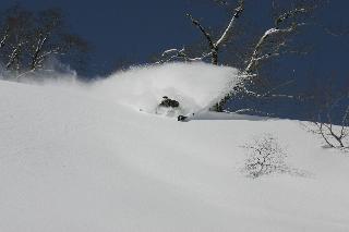 Гостиница Shirakaba