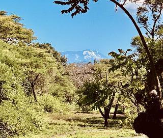 Гостиница Mount Meru Game Lodge