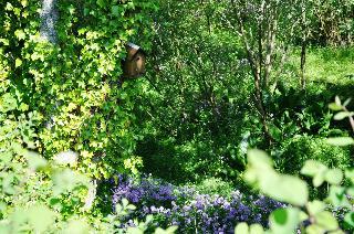 Hotel Craigmhor Lodge & Courtyard