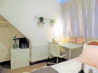 Hotel Muse Homestay