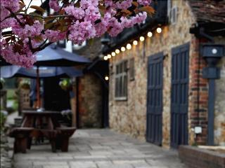 Гостиница The Grasshopper Inn