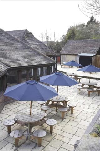 Гостиница The Grasshopper Inn