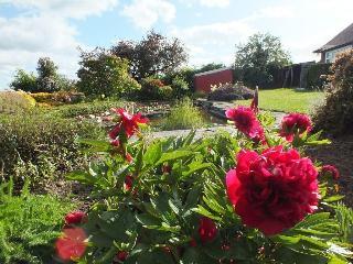 Hotel Mortimer Trail B & B