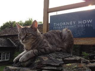 Гостиница Thorney How