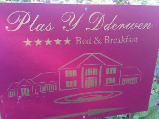 Hotel Plas Y Dderwen