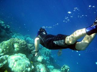 Гостиница Red Sea Relax Resort