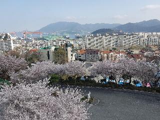 Geoje Oasis Hotel