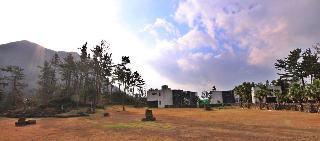 Гостиница Dammora Resort