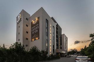 Гостиница Browndot Hotel