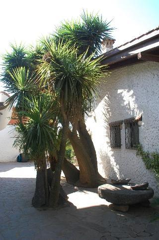 Hotel Sa Crannaccia