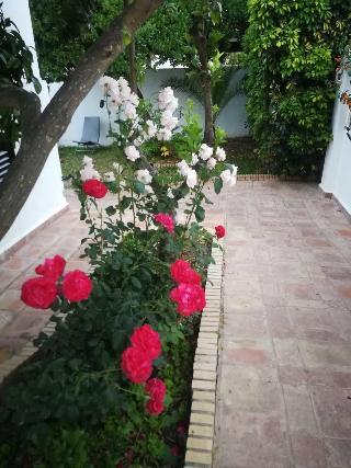 Hotel Hostal Frasquita