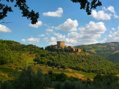Гостиница Castello Di Ripa D'Orcia